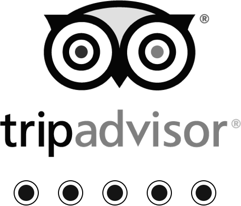 Logo tripadvisor